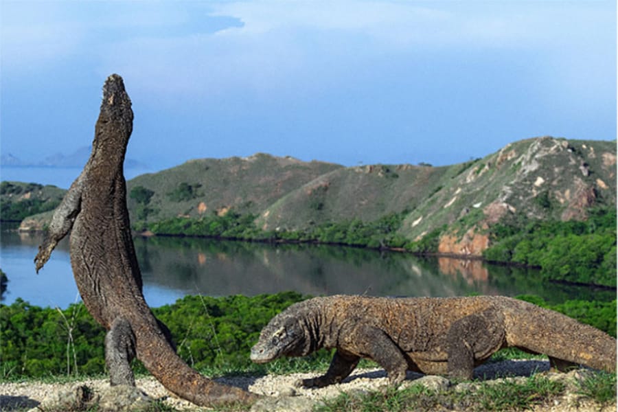 Tour Image