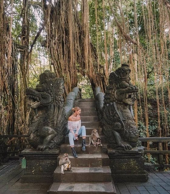 UBUD HALF DAY TOUR (Option 2)
